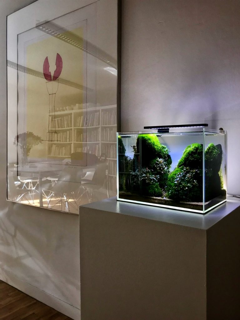 Kalimantan Valley by Tono Dreßen | AquaMooh