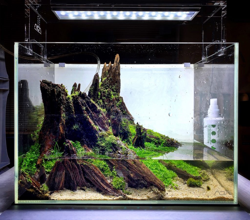 "Pines Peak" by Tono Dreßen | AquaMooh 