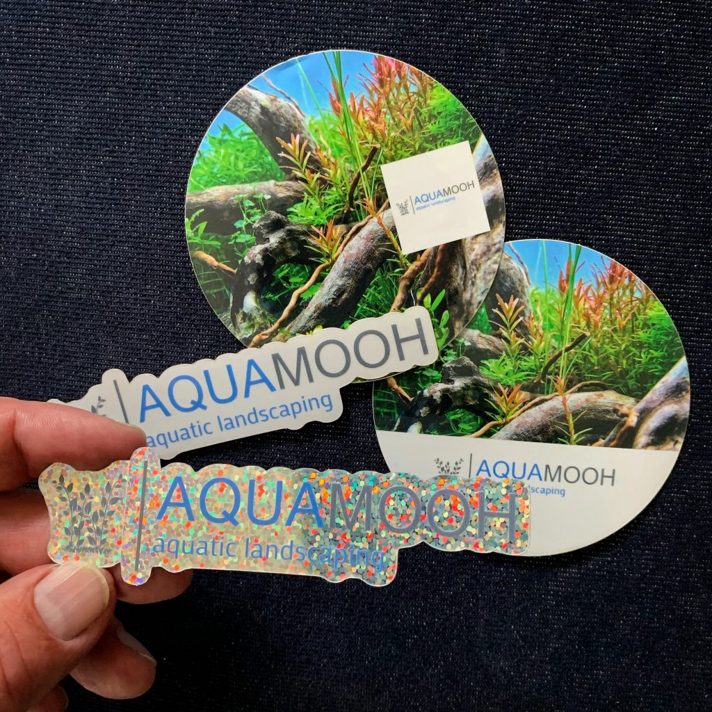 AquaMooh Stickers