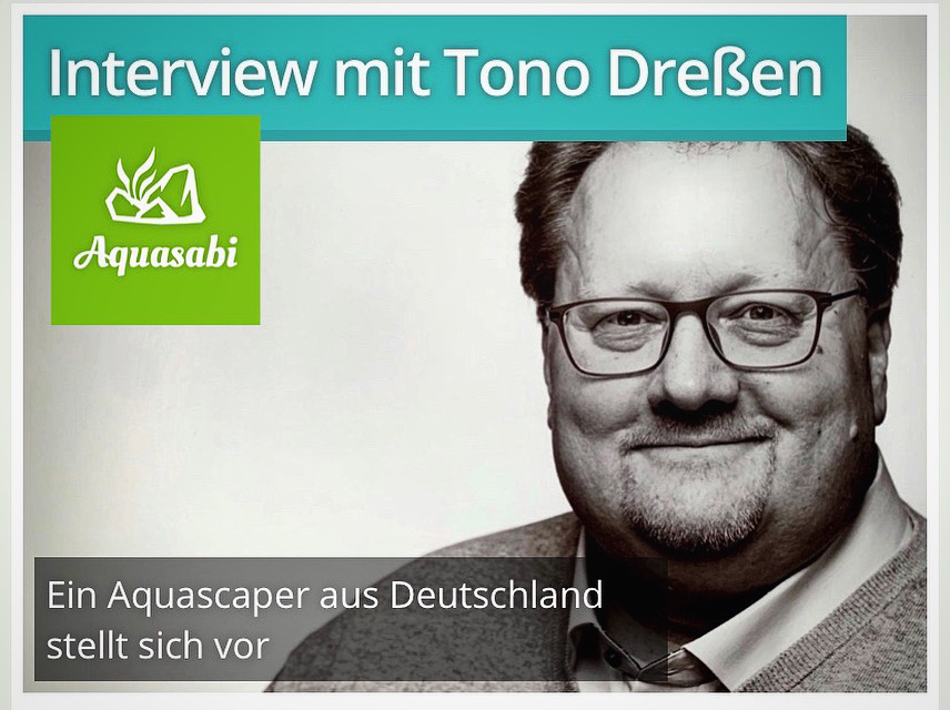 Tono Dreßen | AquaMooh interview aquasabi